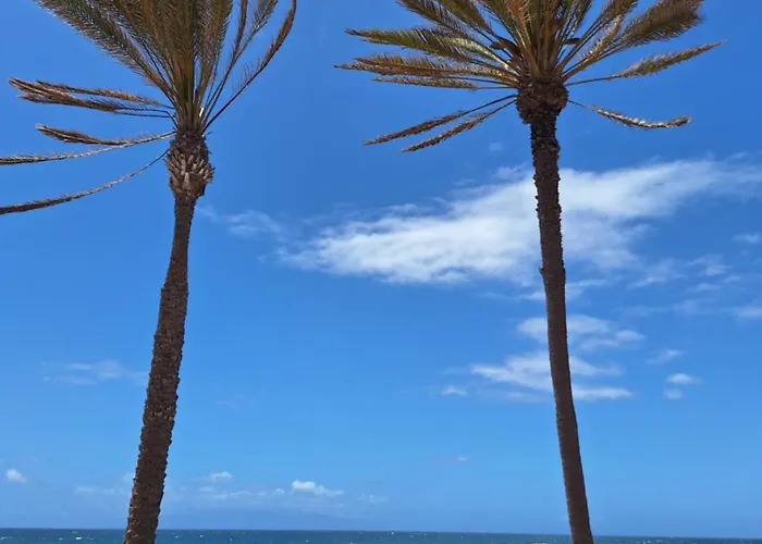 El Cardon * Arona (Tenerife)